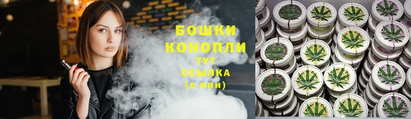 амф Осинники