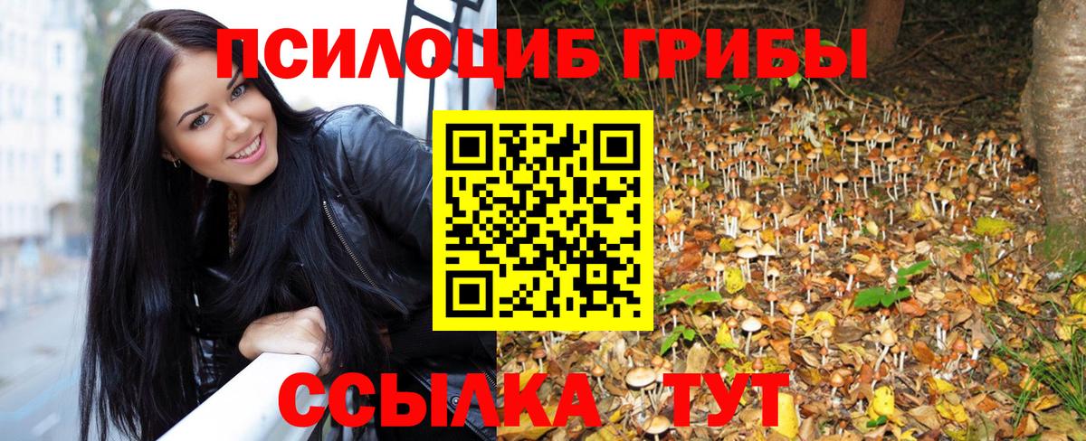 Черкесск  Галлюциногенные грибы мухоморы  Вход с VPN  Галлюциногенные грибы мицелий 